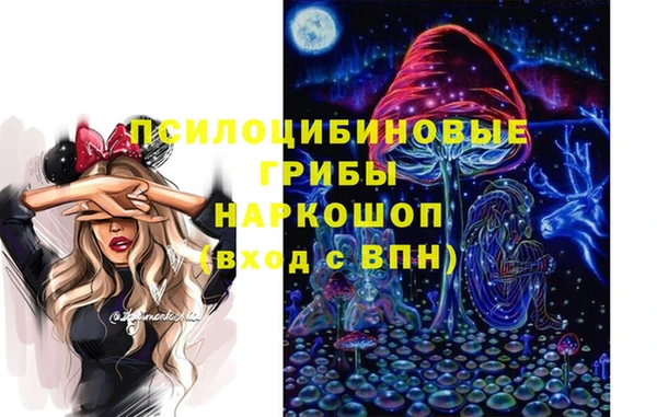 эйфоретик Тутаев