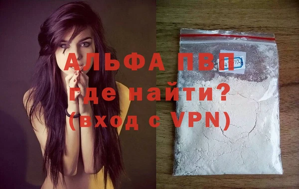 молекула духа Покровск