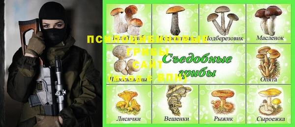 молекула духа Покровск