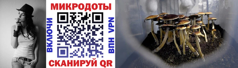 Псилоцибиновые грибы MAGIC MUSHROOMS  darknet какой сайт  Харовск  хочу наркоту 